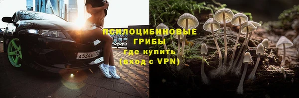 сатива Армянск
