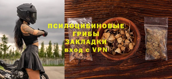 сатива Армянск