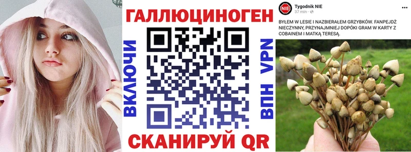 Галлюциногенные грибы GOLDEN TEACHER  нарко площадка клад  Армянск  блэк спрут зеркало 